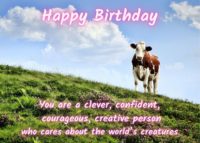 Cow Birthday Card