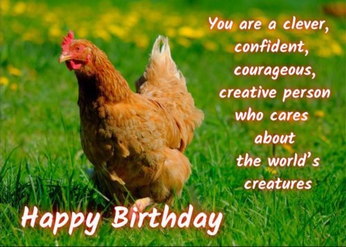 Chicken Birthday Card