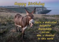 Donkey Birthday Card