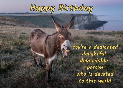 Donkey Birthday Card