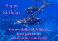 Dolphin Birthday Card