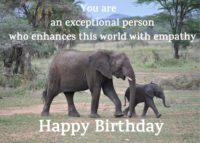 Elephant Birthday Card