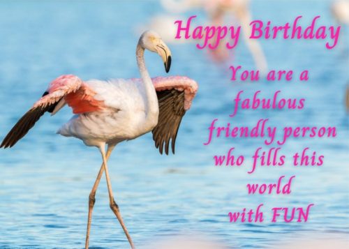 Flamingo Birthday Card