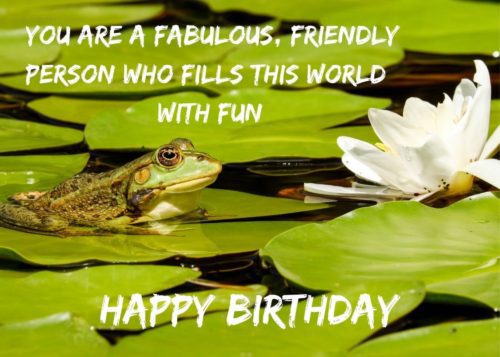 Frog Birthday Card