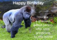 Gorilla Birthday Card