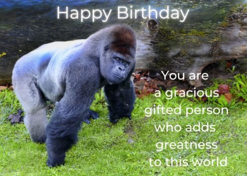Gorilla Birthday Card