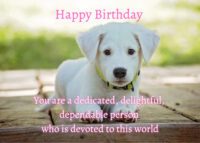 Dog Birthday Card