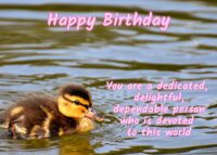 Duck Birthday Card