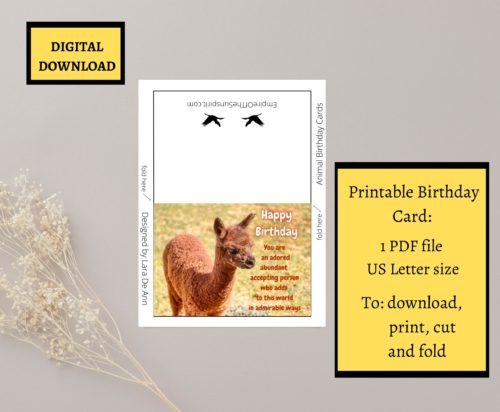 Alpaca Birthday Card - Image 2