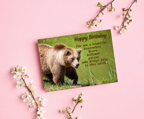 Bear Birthday Card - Image 3