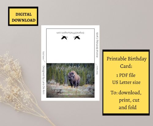 Buffalo Birthday Card - Image 2