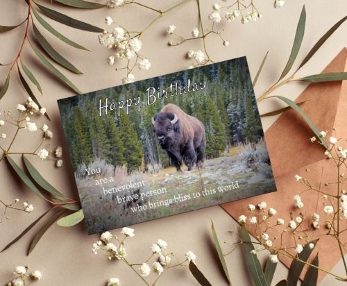 Buffalo Birthday Card - Image 3