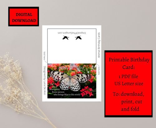Butterfly Birthday Card - Image 2