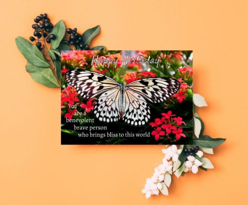 Butterfly Birthday Card - Image 3