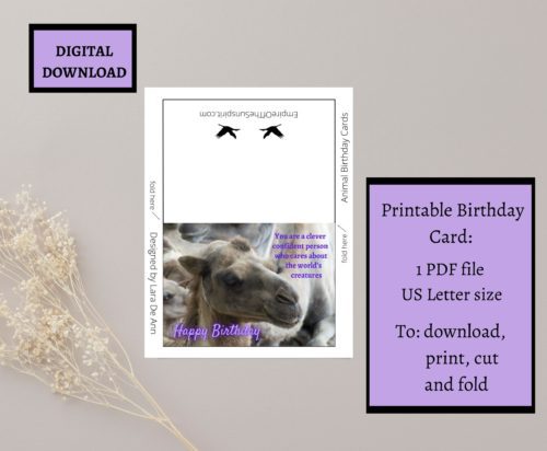 Camel Birthday Card - Image 2