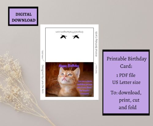 Cat Birthday Card - Image 2