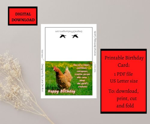 Chicken Birthday Card - Image 2