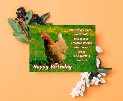 Chicken Birthday Card - Image 3