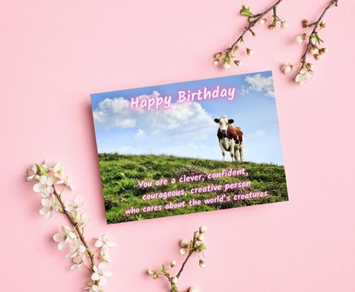 Cow Birthday Card - Image 3