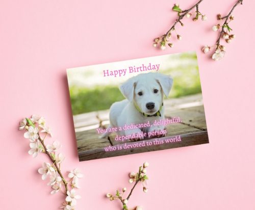 Dog Birthday Card - Image 3