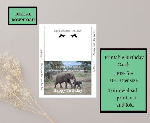 Elephant Birthday Card - Image 2