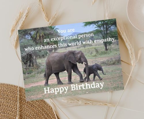 Elephant Birthday Card - Image 3