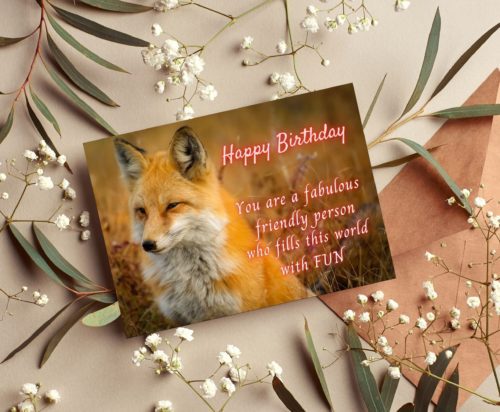 Fox Birthday Card - Image 3