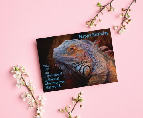 Iguana Birthday Card - Image 3