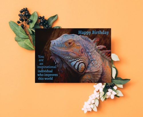 Iguana Birthday Card - Image 4