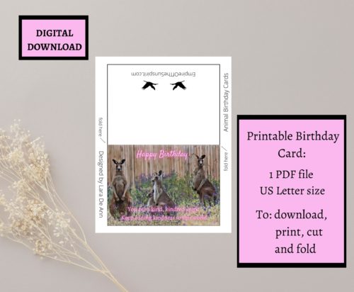Kangaroo Birthday Card - Image 2