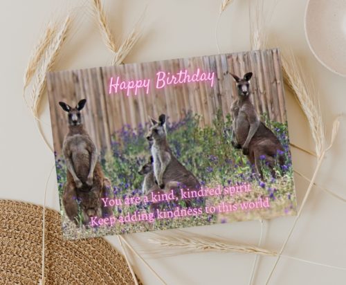 Kangaroo Birthday Card - Image 4