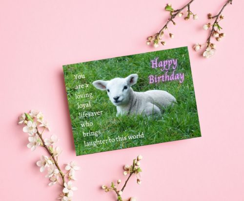 Lamb Birthday Card - Image 3