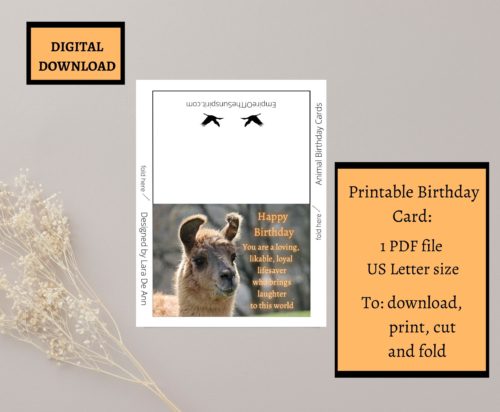 Llama Birthday Card - Image 2