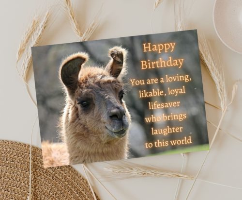 Llama Birthday Card - Image 3