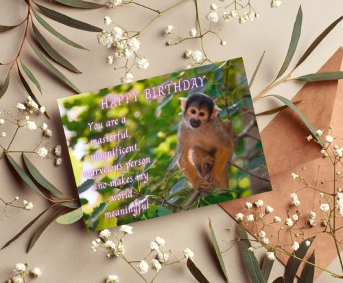 Monkey Birthday Card - Image 4