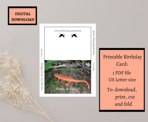 Newt Birthday Card - Image 2