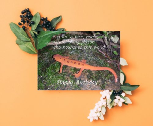 Newt Birthday Card - Image 3