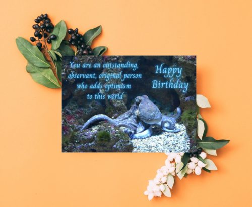 Octopus Birthday Card - Image 4