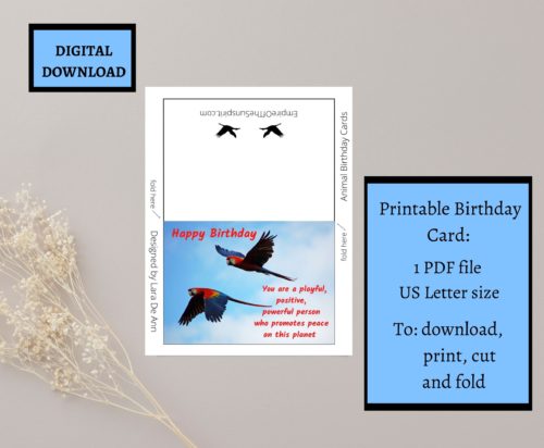 Parrot Birthday Card - Image 2