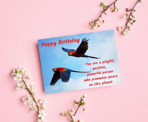 Parrot Birthday Card - Image 3