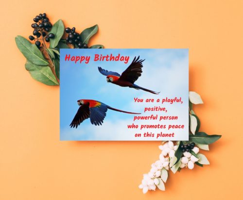 Parrot Birthday Card - Image 4