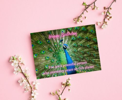 Peacock Birthday Card - Image 3