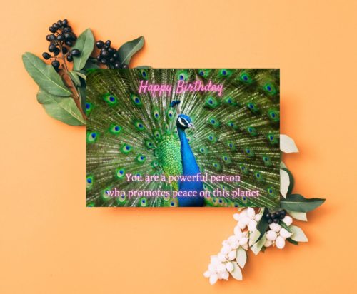 Peacock Birthday Card - Image 4