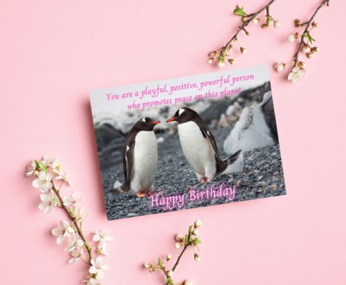 Penguin Birthday Card - Image 3