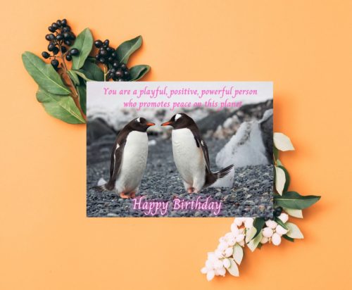 Penguin Birthday Card - Image 4