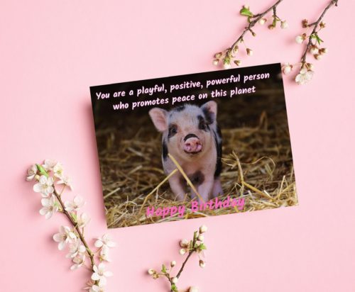 Pig Birthday Card - Image 3