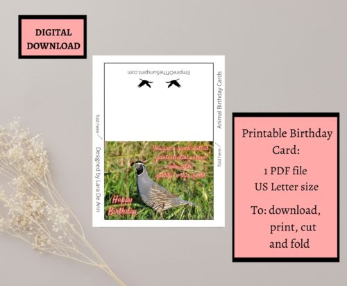 Quail Birthday Card - Image 2