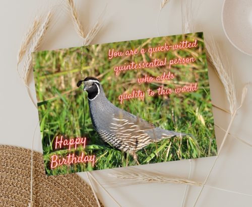 Quail Birthday Card - Image 3