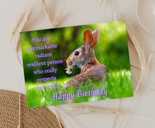 Rabbit Birthday Card - Image 4