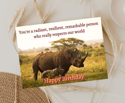 Rhino Birthday Card - Image 3